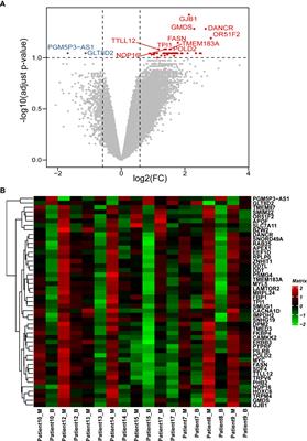 Frontiers | Gene Expression Analysis Reveals A 5-gene Signature For ...